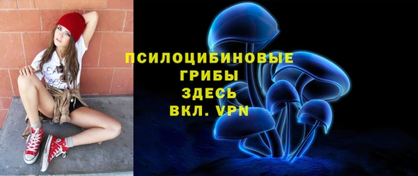 ALPHA PVP Кодинск